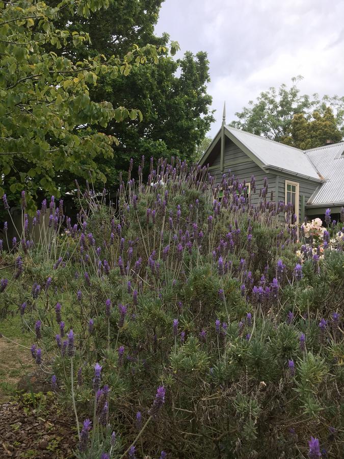 Oak Tree Lodge Rhyll Exterior foto
